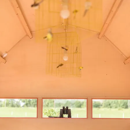 Campsite Hihahut De Vogelaar